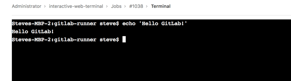 A command being executed on a job’s terminal page